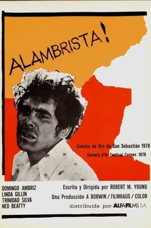 Poster ¡Alambrista! 1977