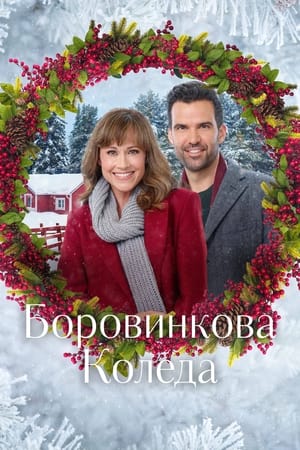 Image Боровинкова Коледа