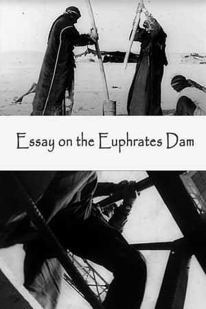 Poster Film-Essay on the Euphrates Dam (1970)