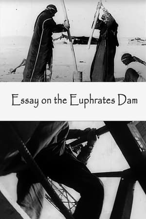 Image Film-Essay on the Euphrates Dam