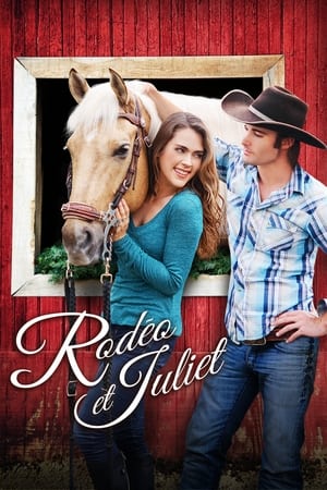 Poster Rodéo et Juliette 2015