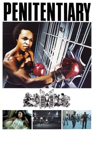 Poster Penitentiary 1979