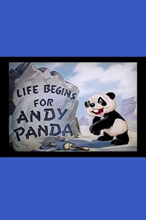 Life Begins for Andy Panda poster