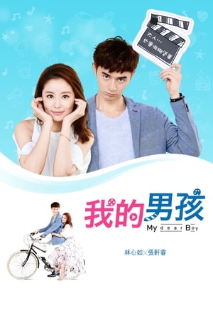 Poster 我的男孩 2017