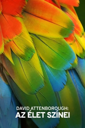 Image David Attenborough: Az élet színei
