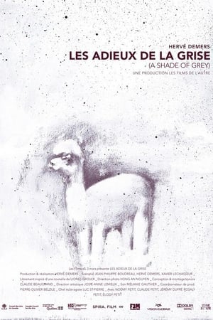 Poster Les adieux de la Grise 2013