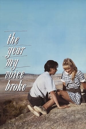 Poster di The Year My Voice Broke