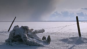 Doctor Zhivago (1965)