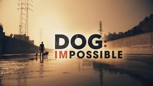 poster Dog: Impossible