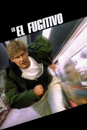 El fugitivo (1993)