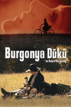 Burgonya Dükü