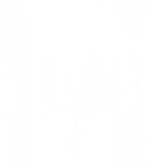 Organisation super insolite