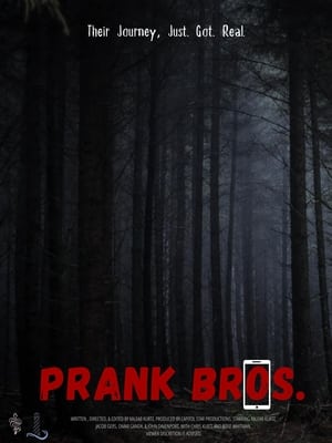voir film Prank Bros streaming vf