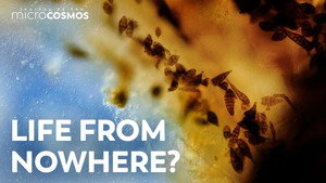 Can Microbes Just Appear Out Of Nowhere? still