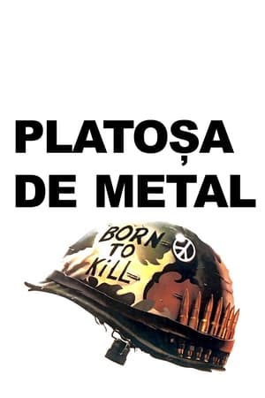 Poster Platoșa de metal 1987
