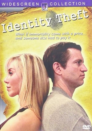 Poster Identity Theft (2009)