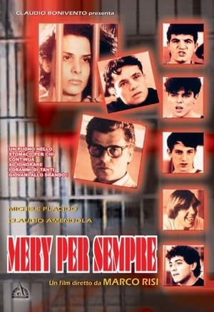 Poster Mery pour toujours 1989