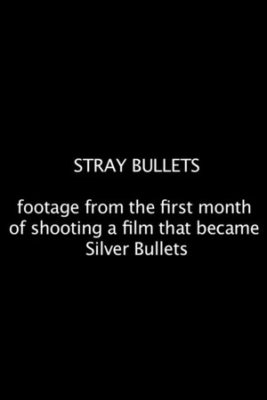 Poster Stray Bullets (2012)