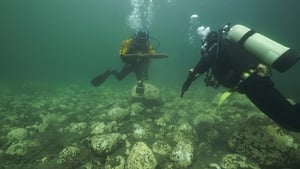 Shipwreck at Egg Island film complet