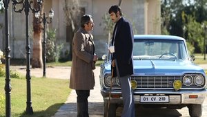 Bir Zamanlar Çukurova: 1×19