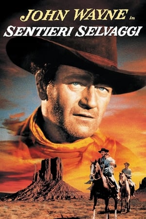 The Searchers 78