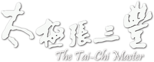 Tai-Chi Master — Logos 3