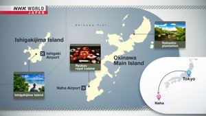 Journeys in Japan: 13×18