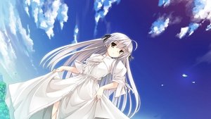 Yosuga no sora