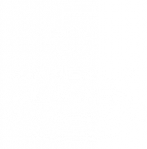 Les 5 Anneaux d'Or