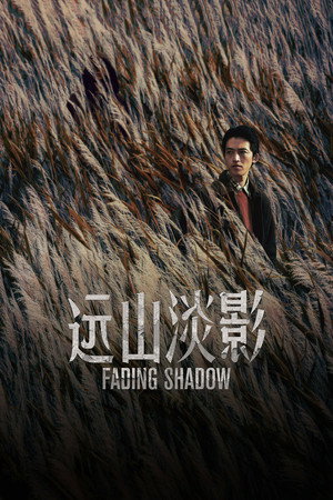 Fading Shadow