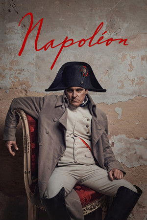 poster Napoleon