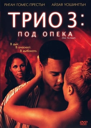 Poster Трио 3: Под опека 2004
