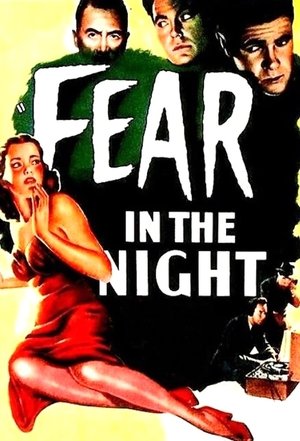 Image Fear in the Night