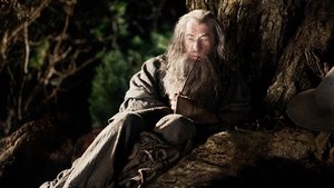 The Hobbit: An Unexpected Journey (2012)