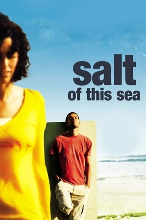 Poster Salt of This Sea 2008