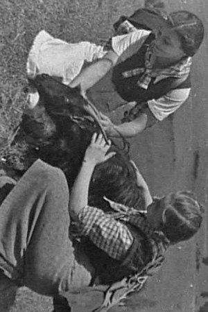 The Country of Motzi (1938)