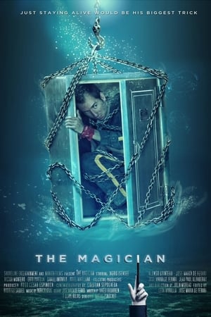 Poster The Magician 2014