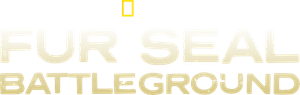 Fur Seals — Logos 3
