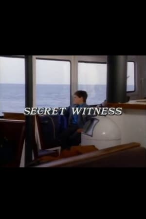 Secret Witness poster