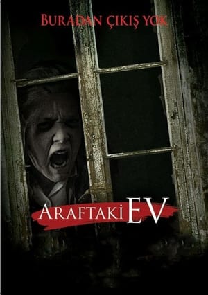 Poster Araftaki Ev 2013