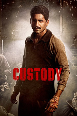 Custody 22