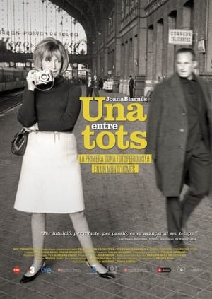 Poster Joana Biarnés, una entre tots (2015)