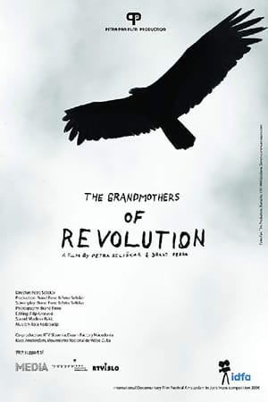 Image The Grandmothers of the Revolution