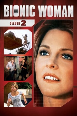 The Bionic Woman: Seizoen 2