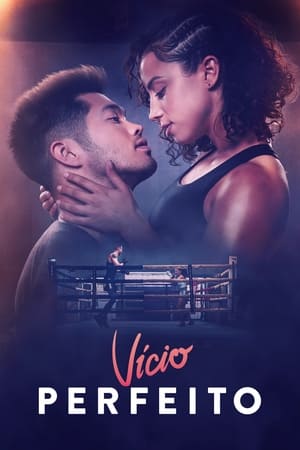 Vício Perfeito - Poster