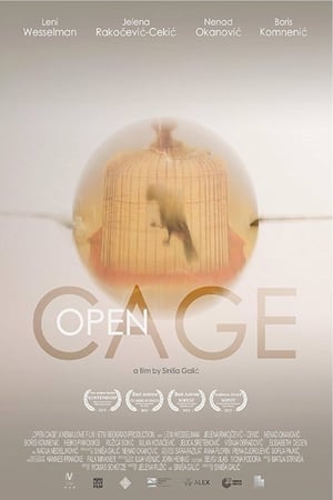 Poster Open Cage (2015)