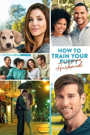 How to Train Your Husband How to Train Your Husband