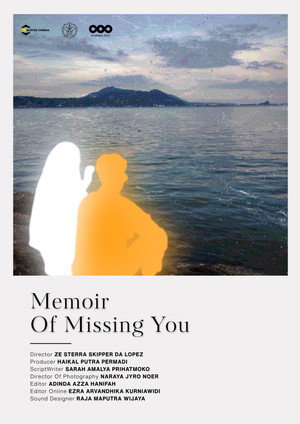 Memoir Of Missing You