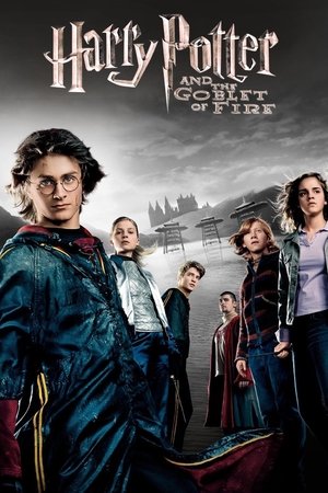 harry potter and the goblet of fire free online harry potter and the goblet of fire free online