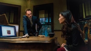 Elementary 4×22